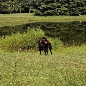 Meet your Posher, Chad